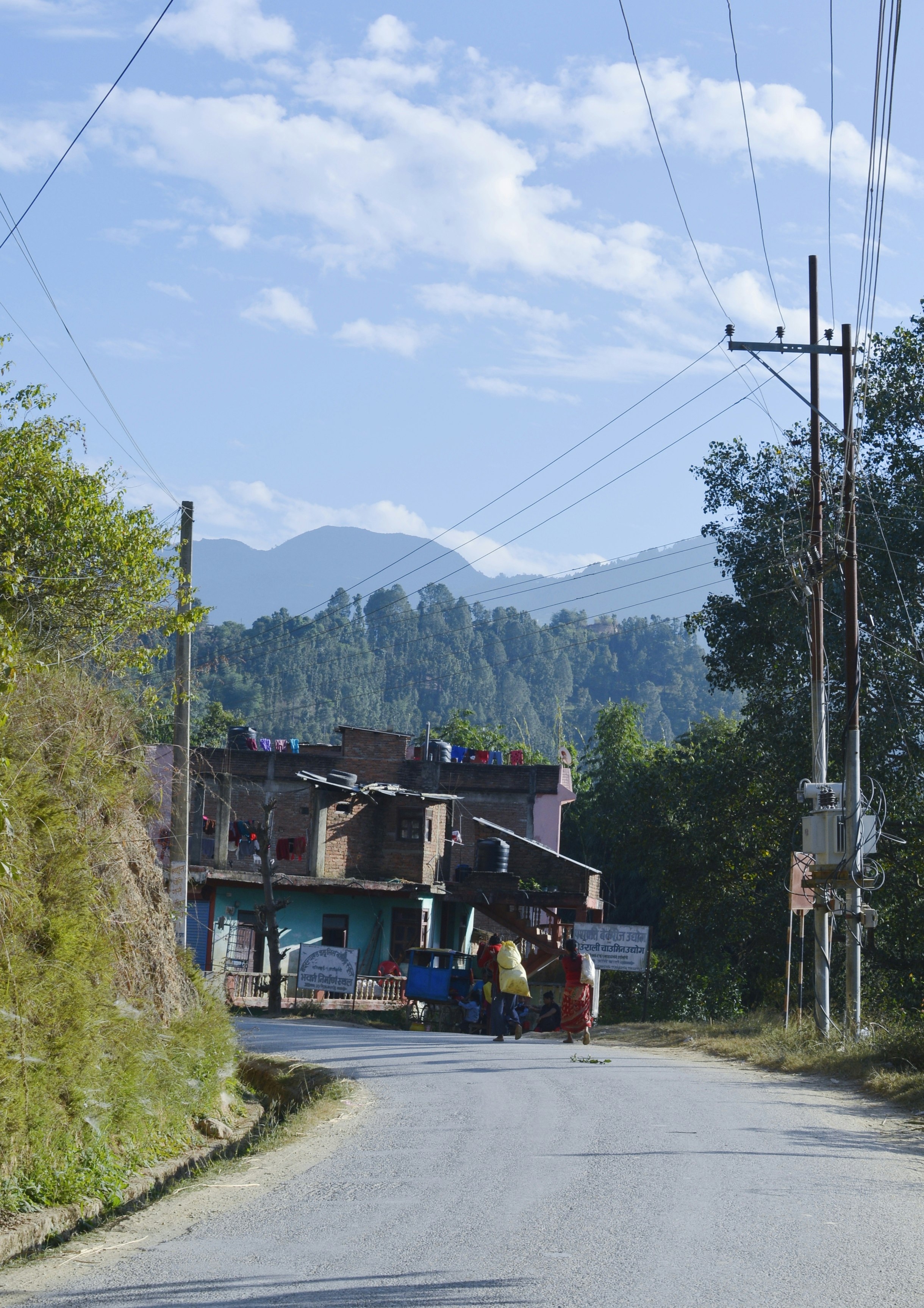 people walking on street near green trees and houses during daytime